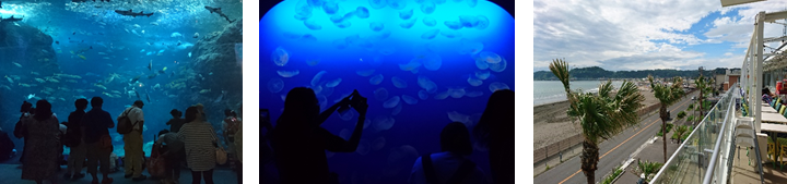 水槽の中はまるで1つの宇宙のようですね