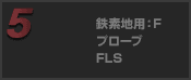 鉄素地用：F プローブ FLS