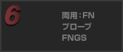 両用：FN プローブ FNGS