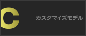 カスタマイズモデル